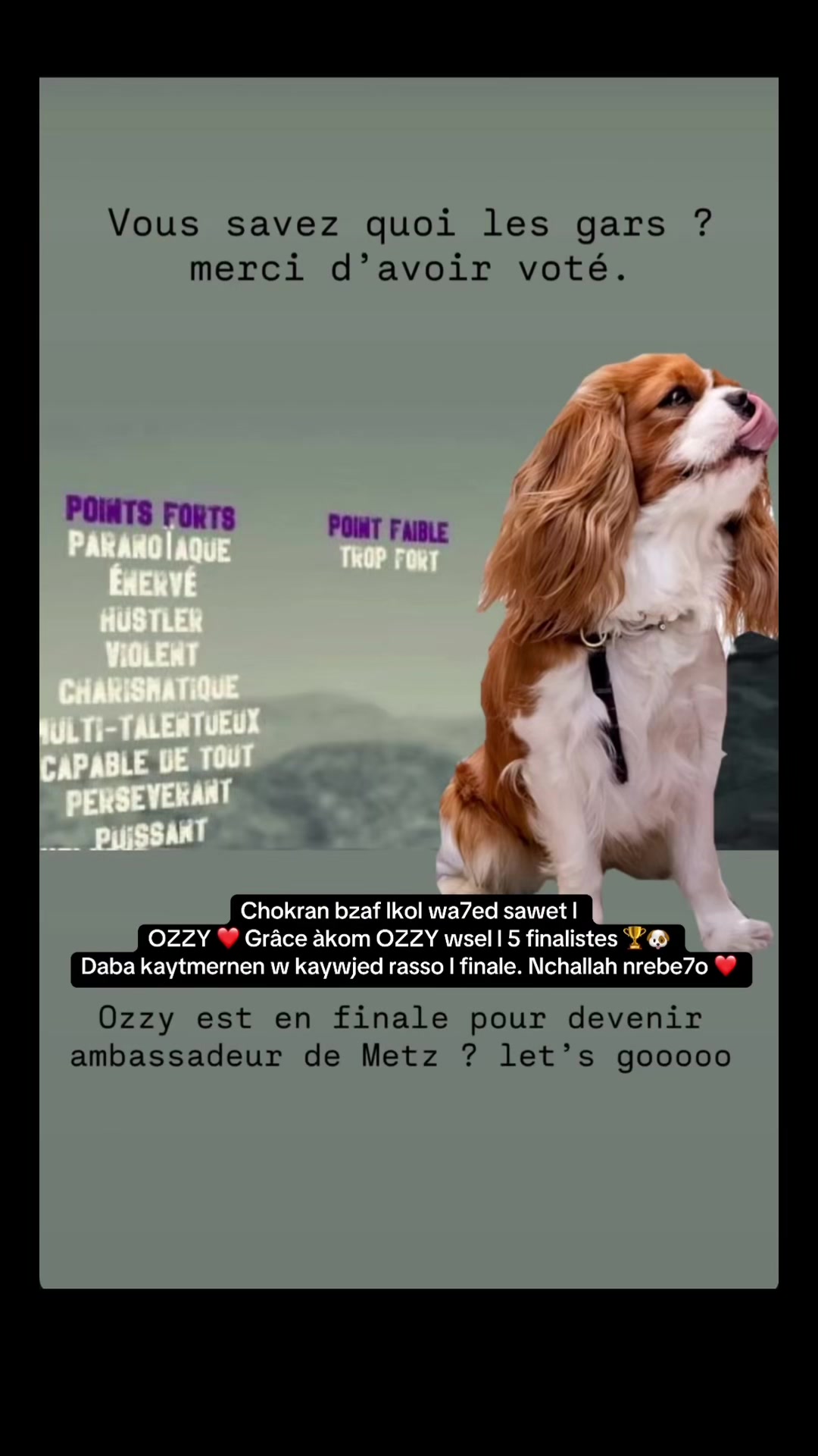 @souadt10