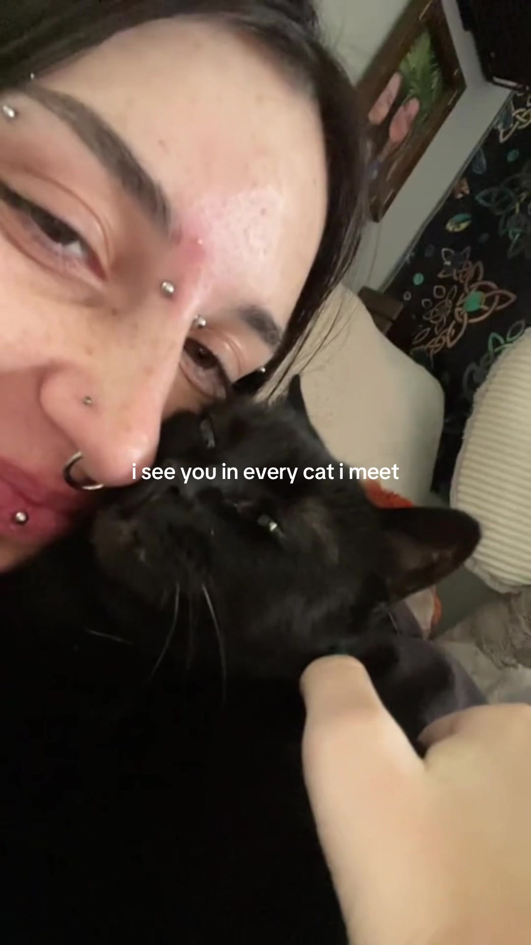 @🐈&zwj;⬛