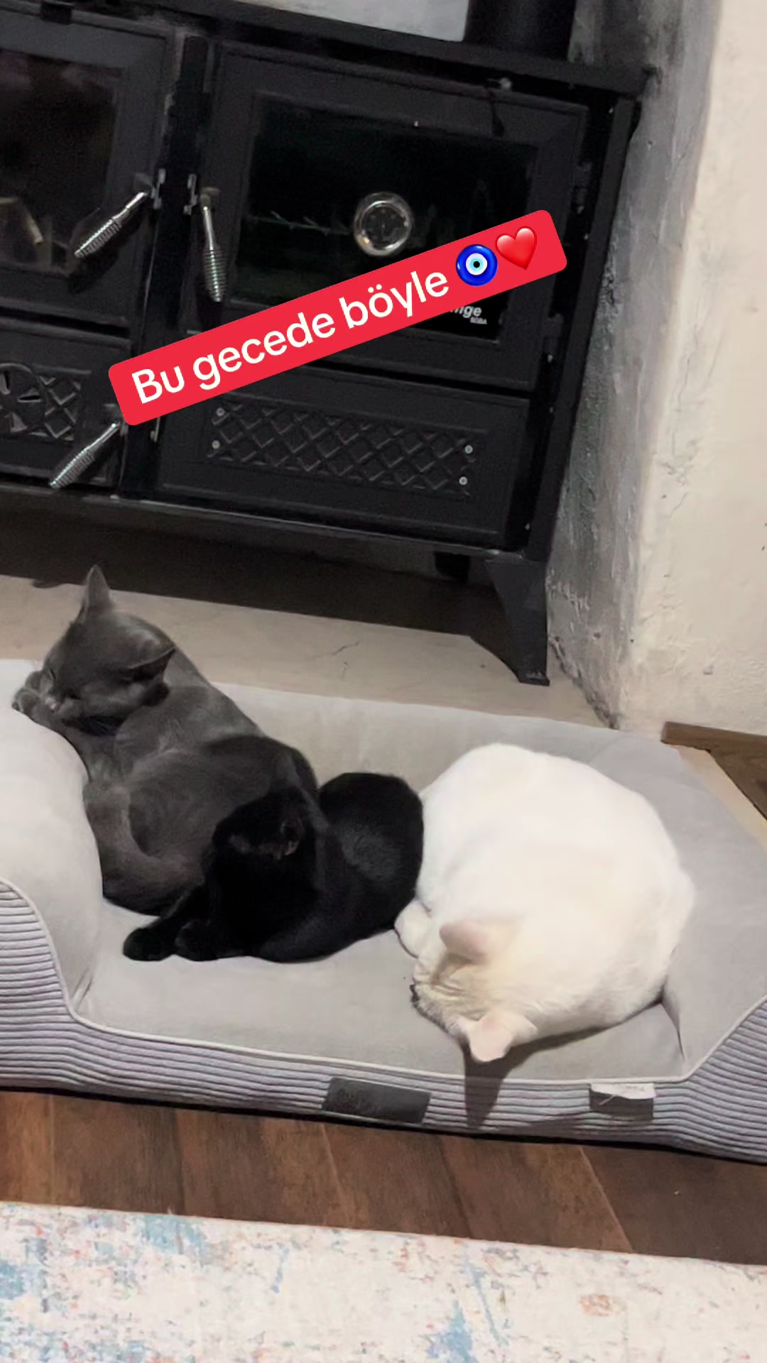 @&Ccedil;i&ccedil;inin k&ouml;y evi
