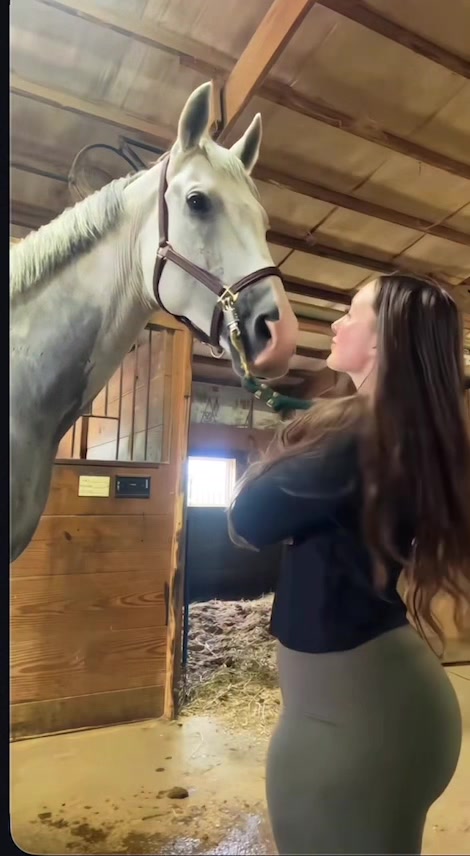 @HORSES