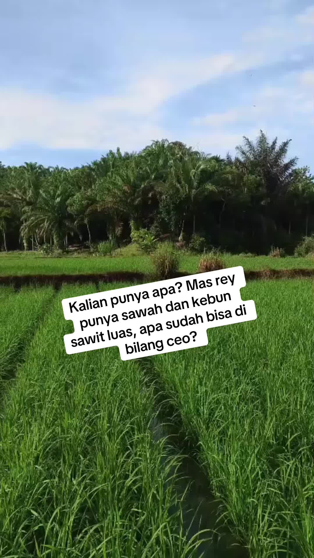 @Mas rey