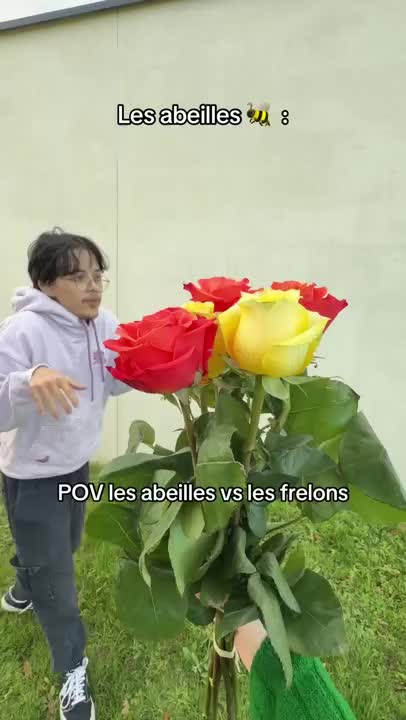 @Litsu