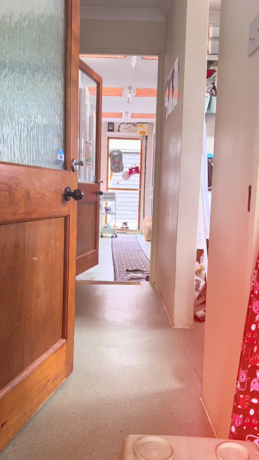 @Herongate Village Cattery