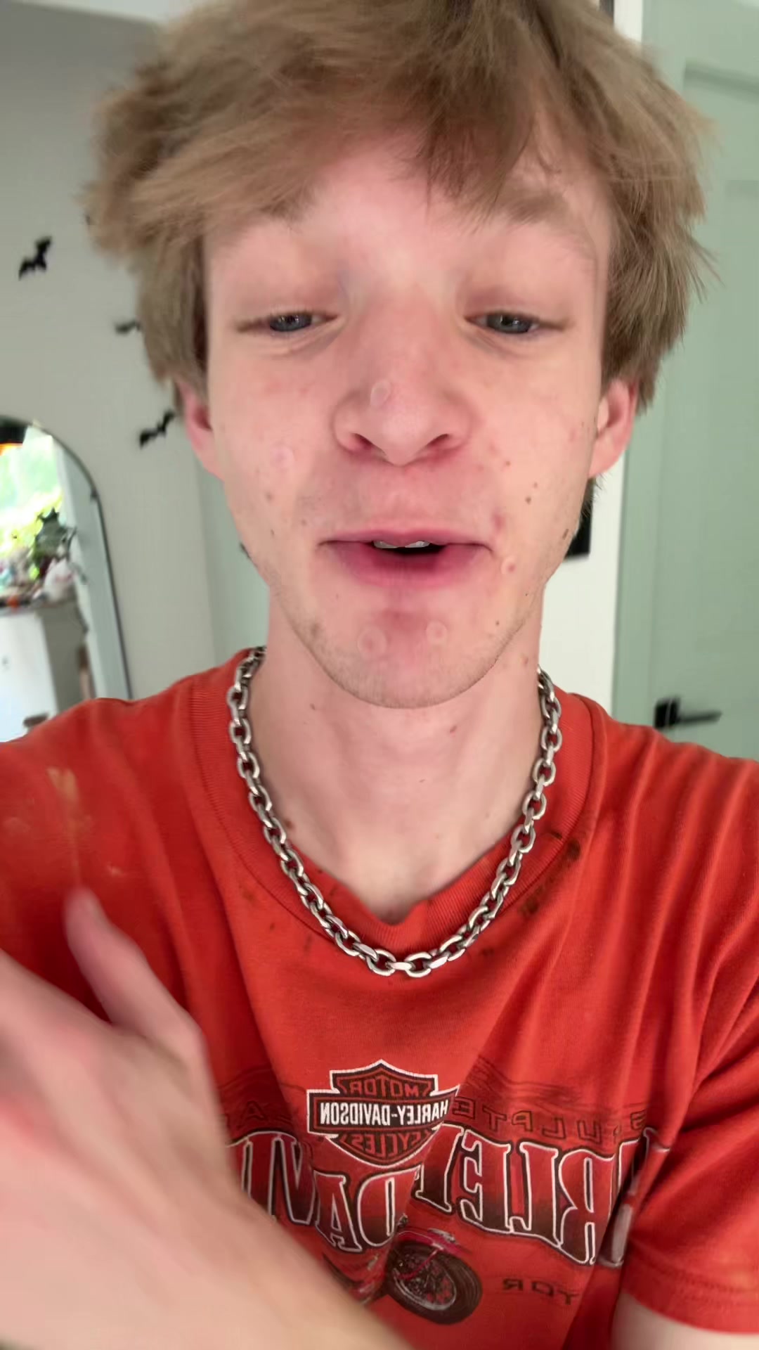 @shaggybumps