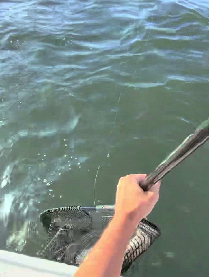 @Tacklepusher
