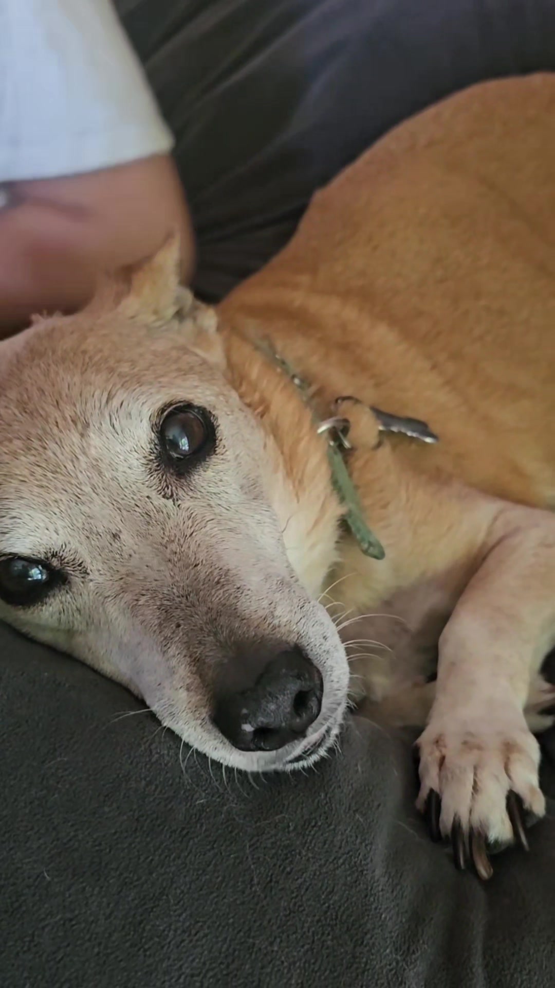 @The Belly Rub Hub