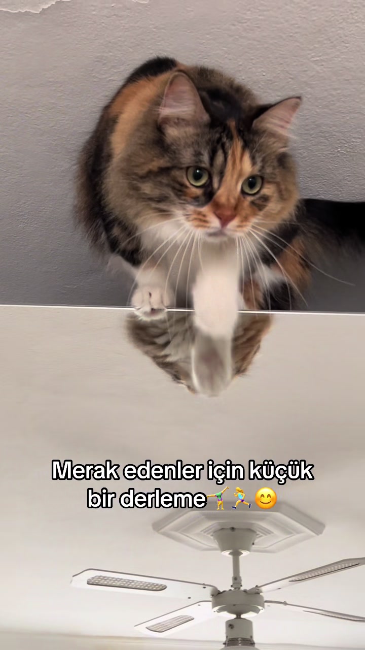 @konusankediminnos