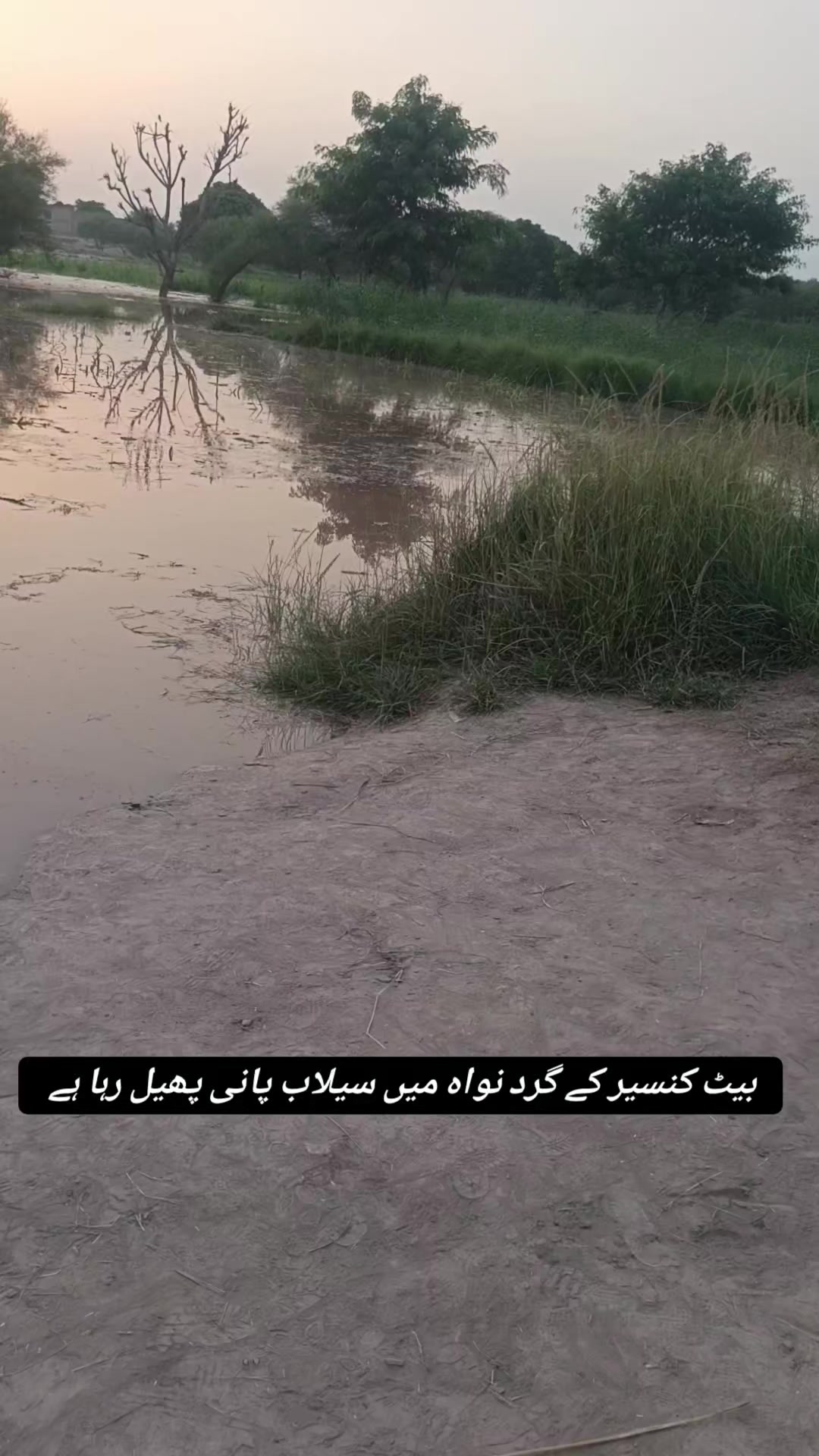 @Dr Mohammad Raza Kachala