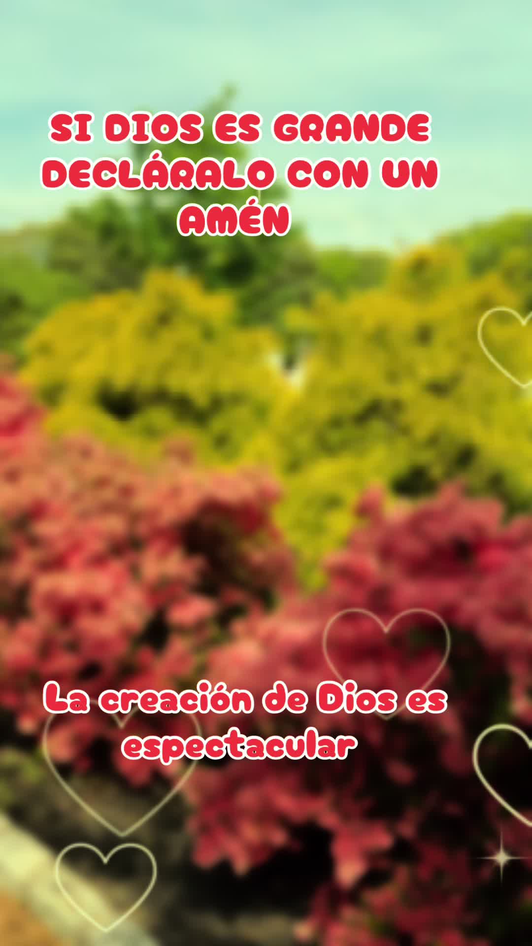 @Adelsomusicacristiana