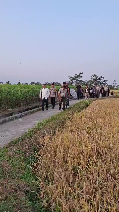 @PORTAL BABINSA