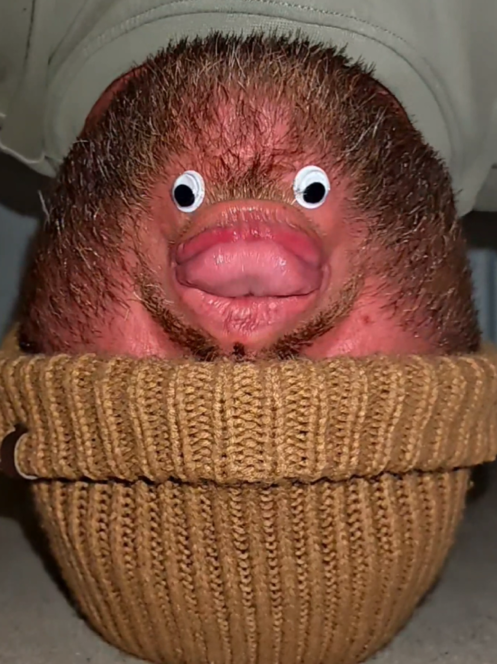 @Chinfaced