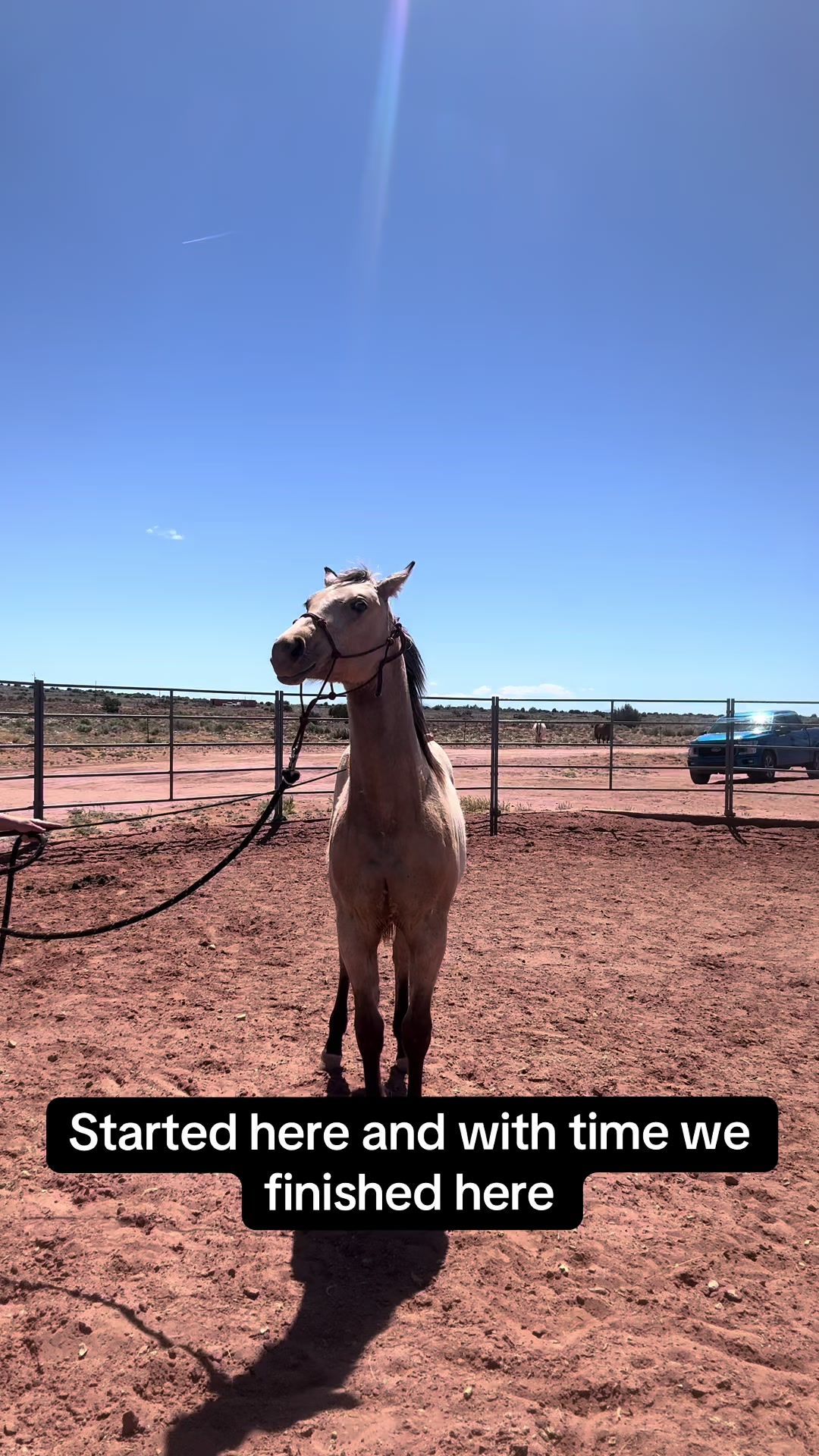 @CanyonStateHorsemanship