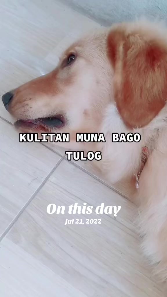 @Zarah Labz