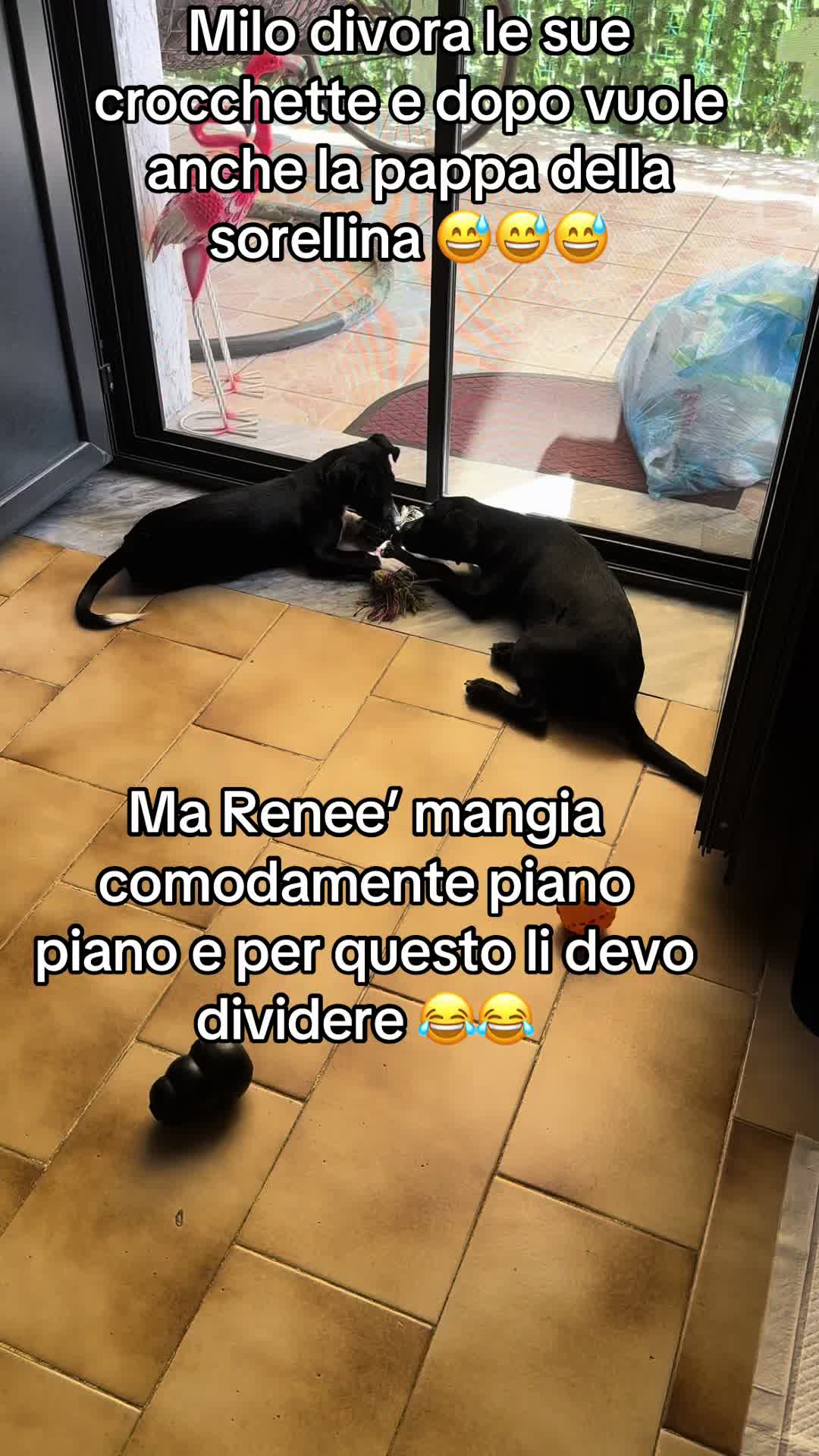 @Carmela Capone