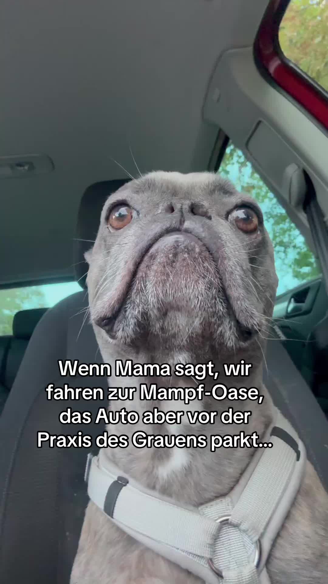 @Der Bommelboss &hearts;️