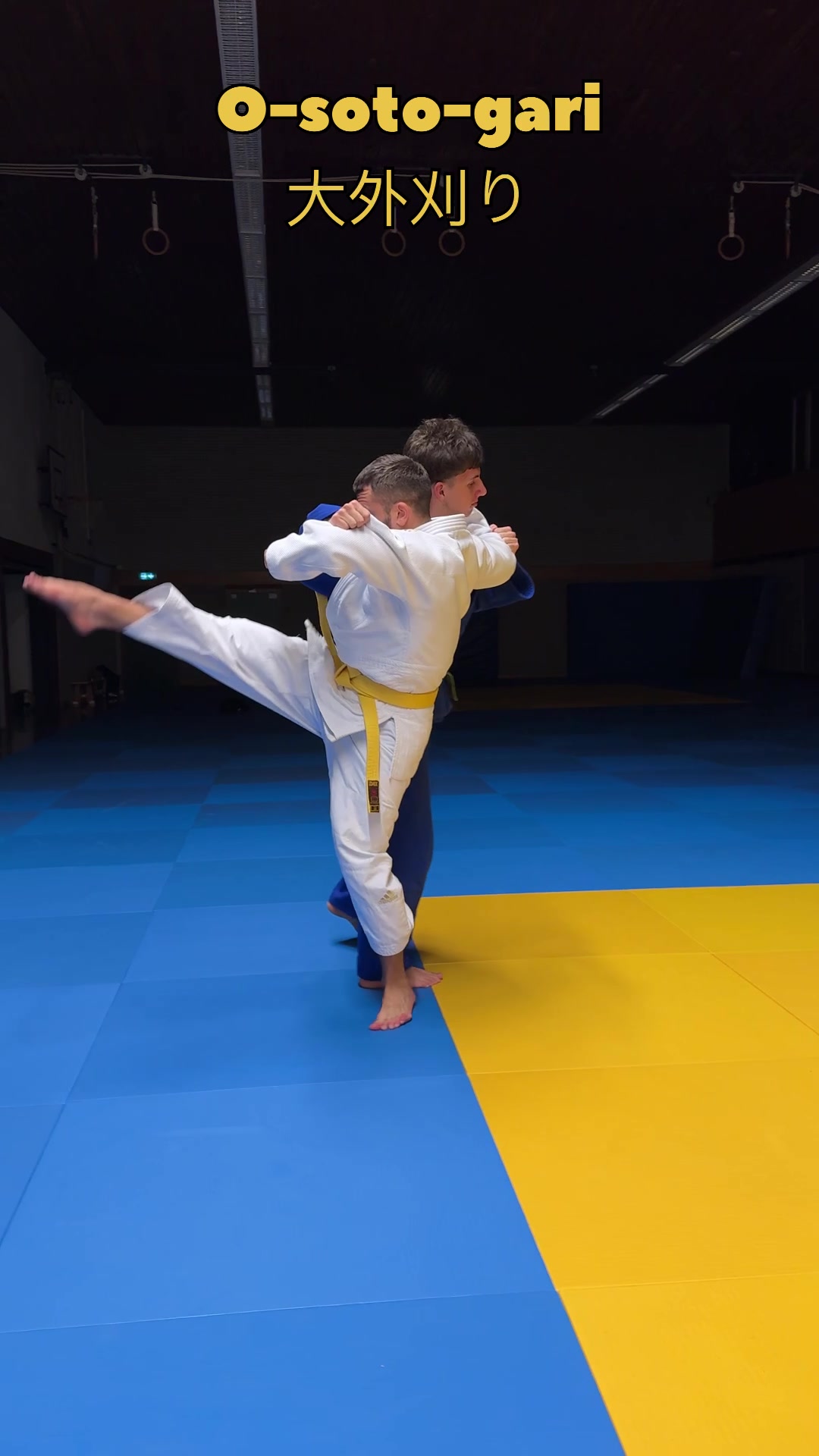 @Cyber-Judoka