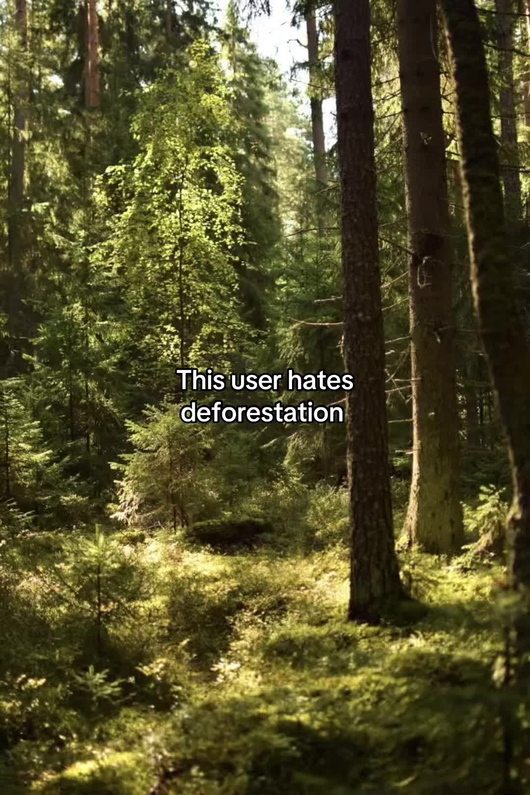 @amaliaplantstrees