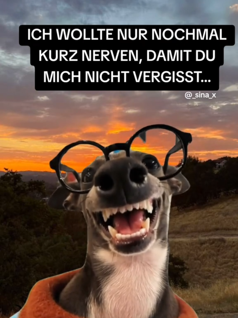 @𝙭𝙎𝙞𝙣𝙖🎮