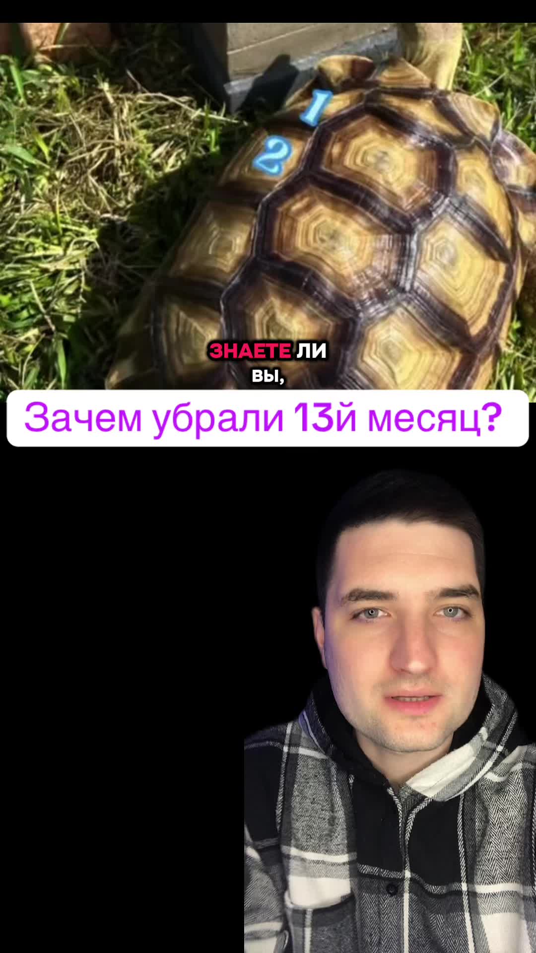 @Dovod Brat