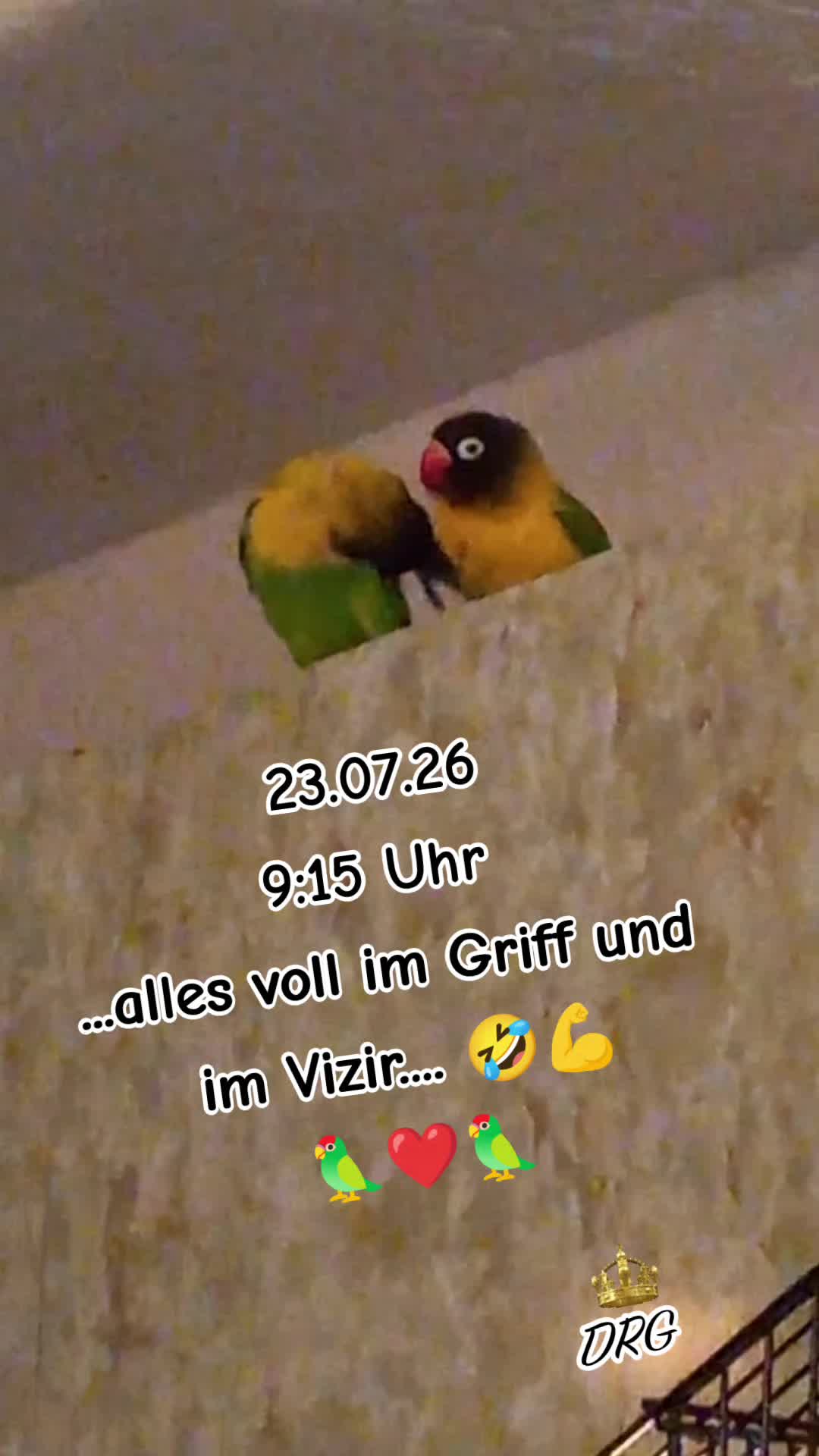 @🏳️&zwj;🌈💙꧁💥𝕐𝕧𝕚💥꧂💙🏳️&zwj;🌈