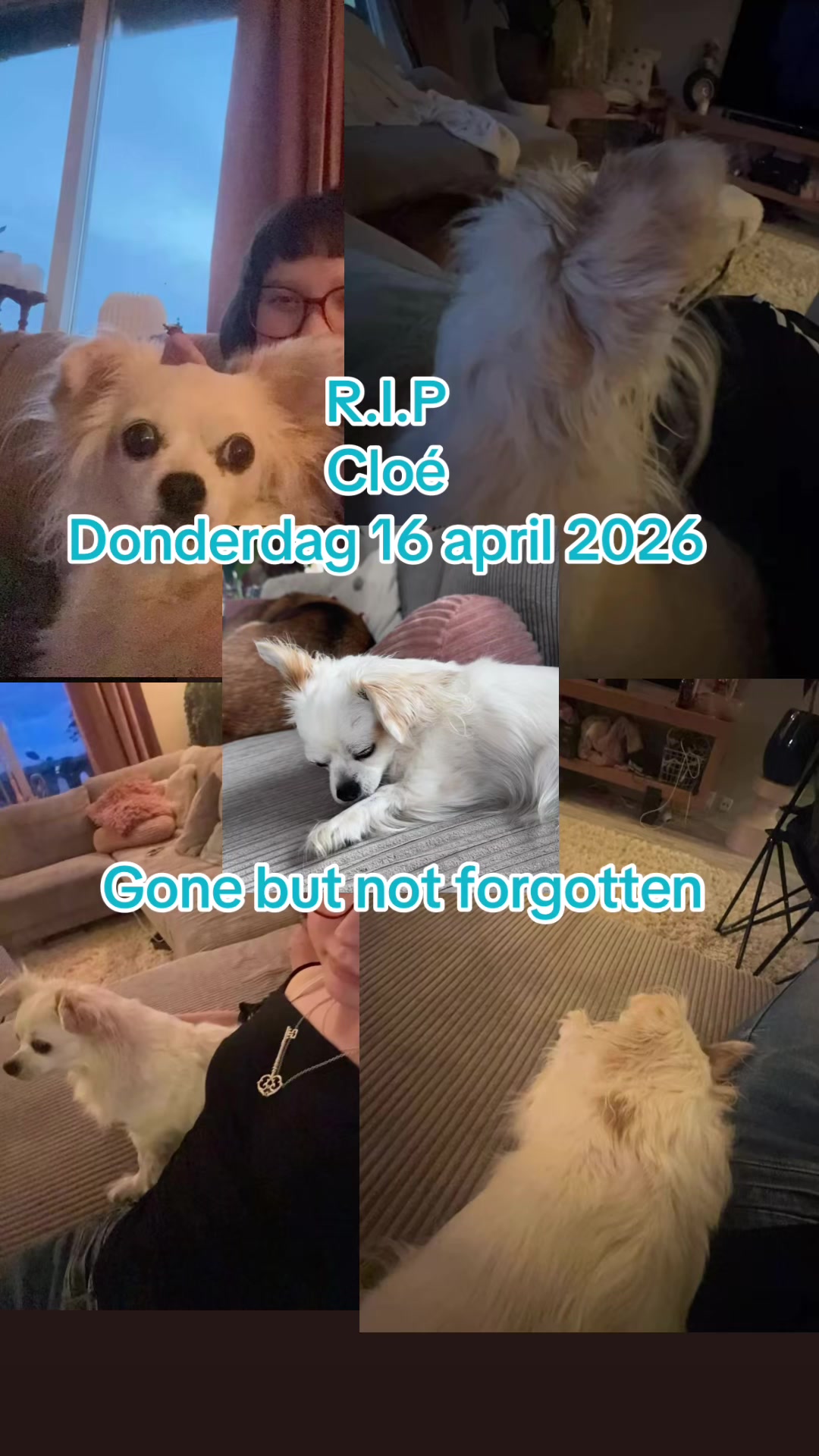 @ð»ðððð²ðð»