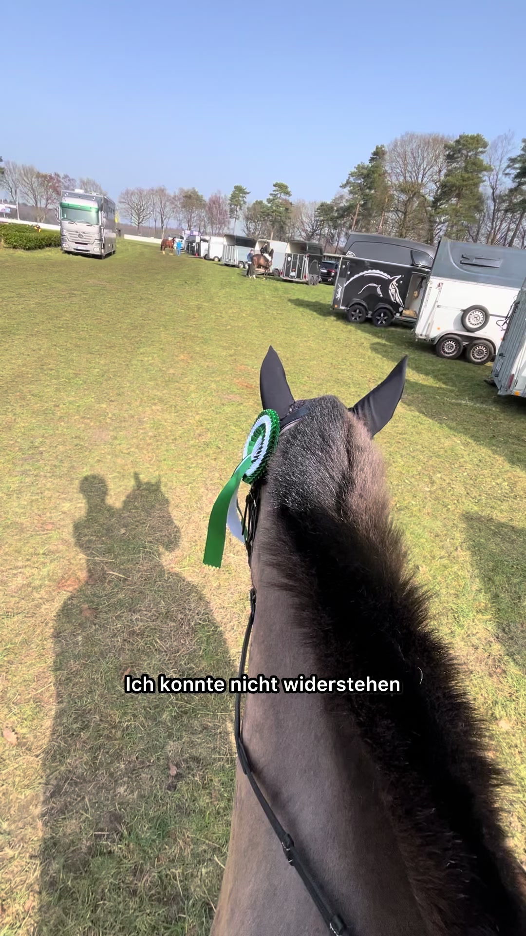 @Alina Bruns