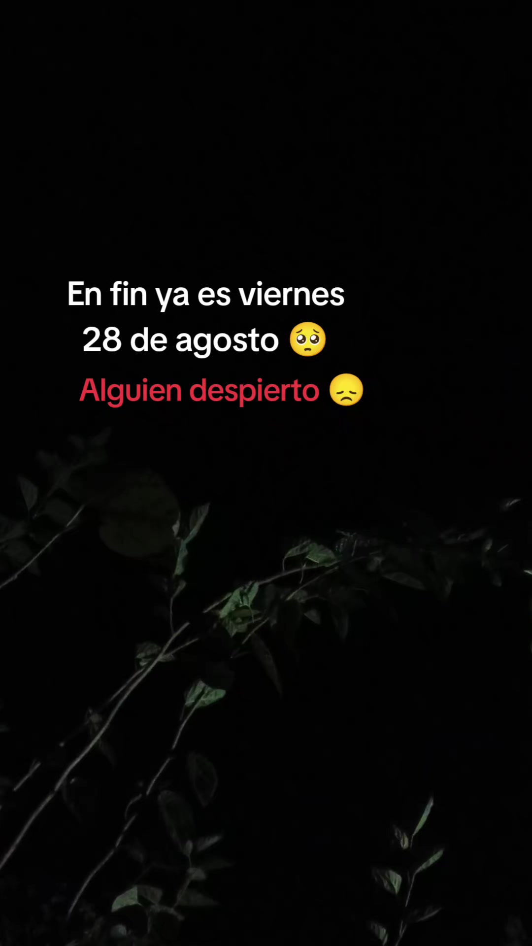 @@flaquito_071