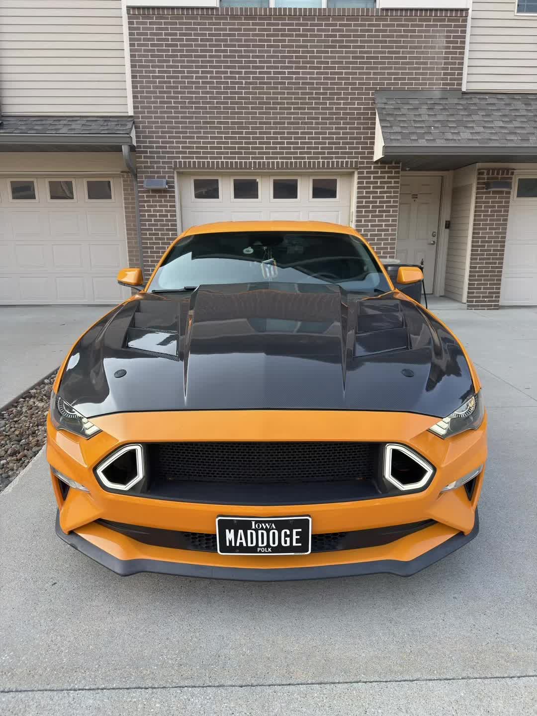 @LaVidaDeBori787PR🇵🇷🐺