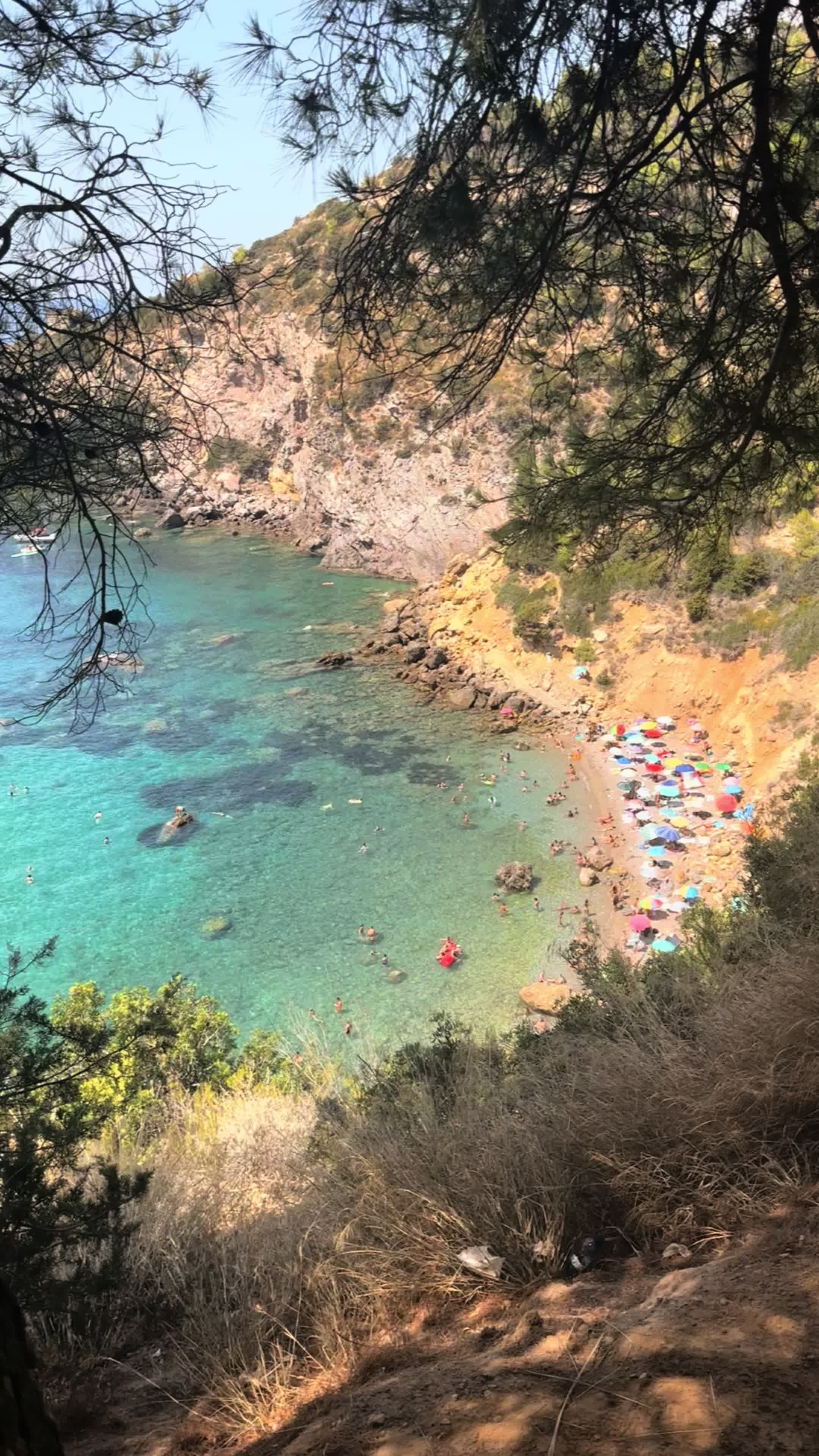 @Elisabetta Bertolini