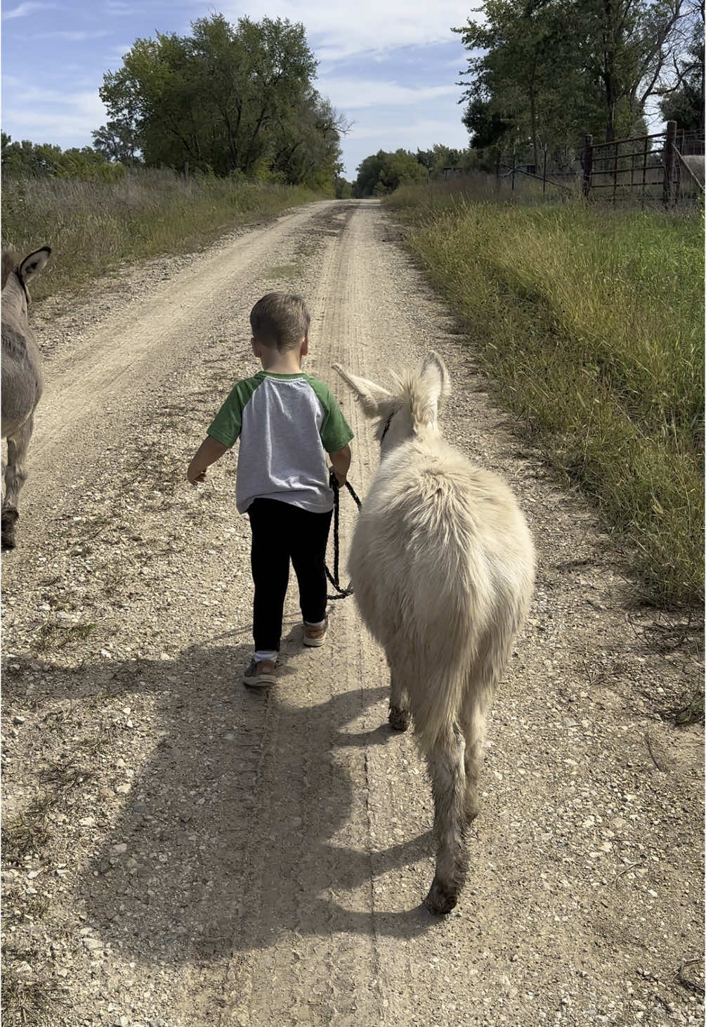 @Tami | FarmD Family Farm