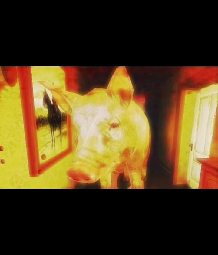 @Jackson’s house cat 🐈