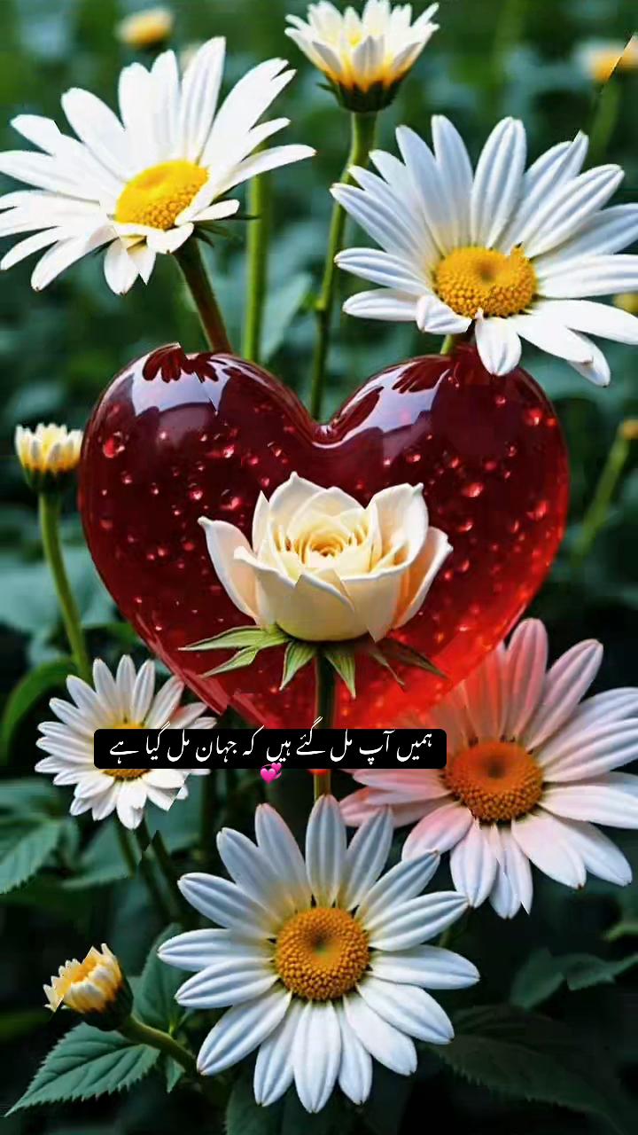 @💞💞Sara💞💞