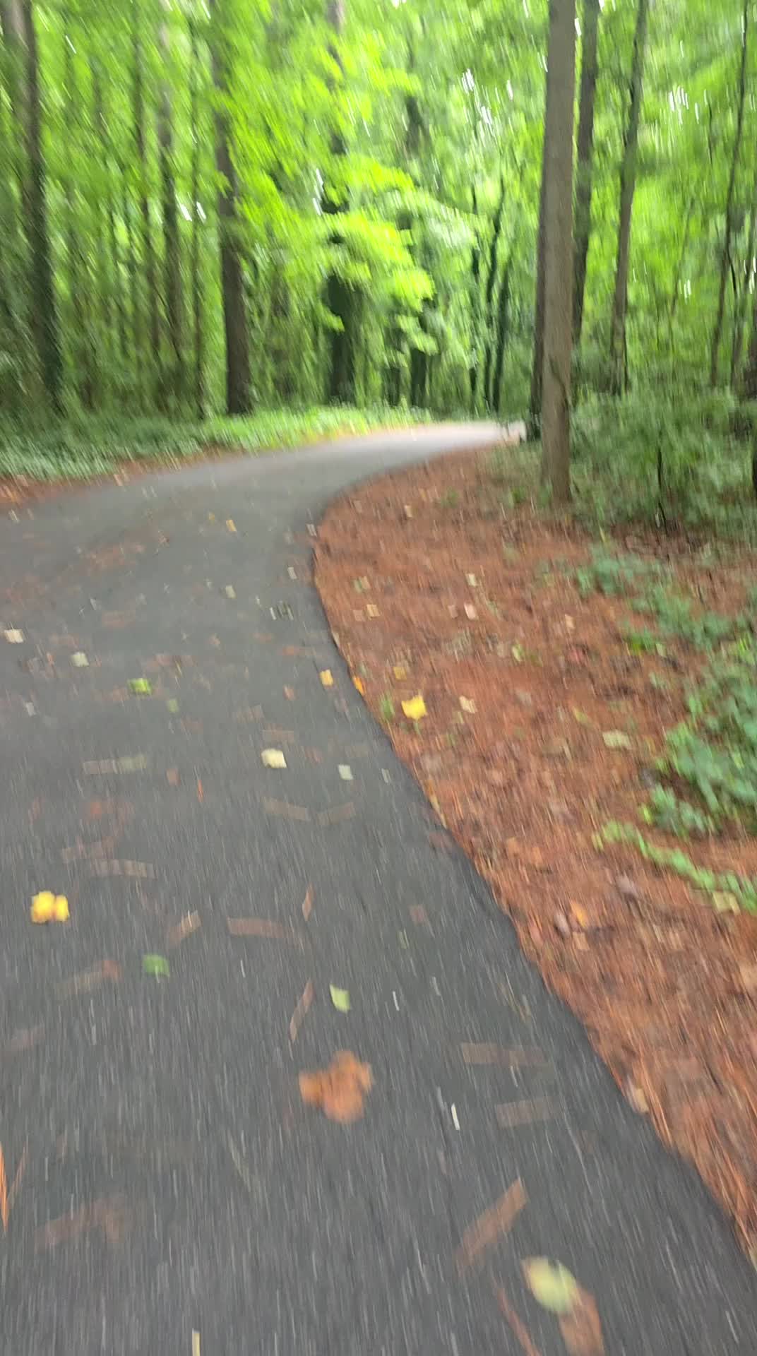 @🌻vivi🌻