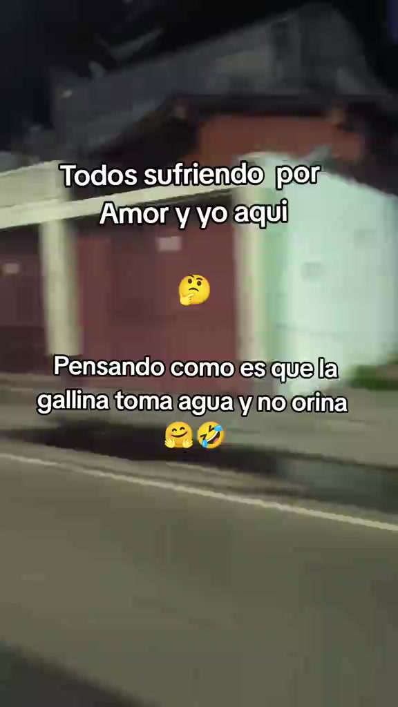 @lizzi alvarado