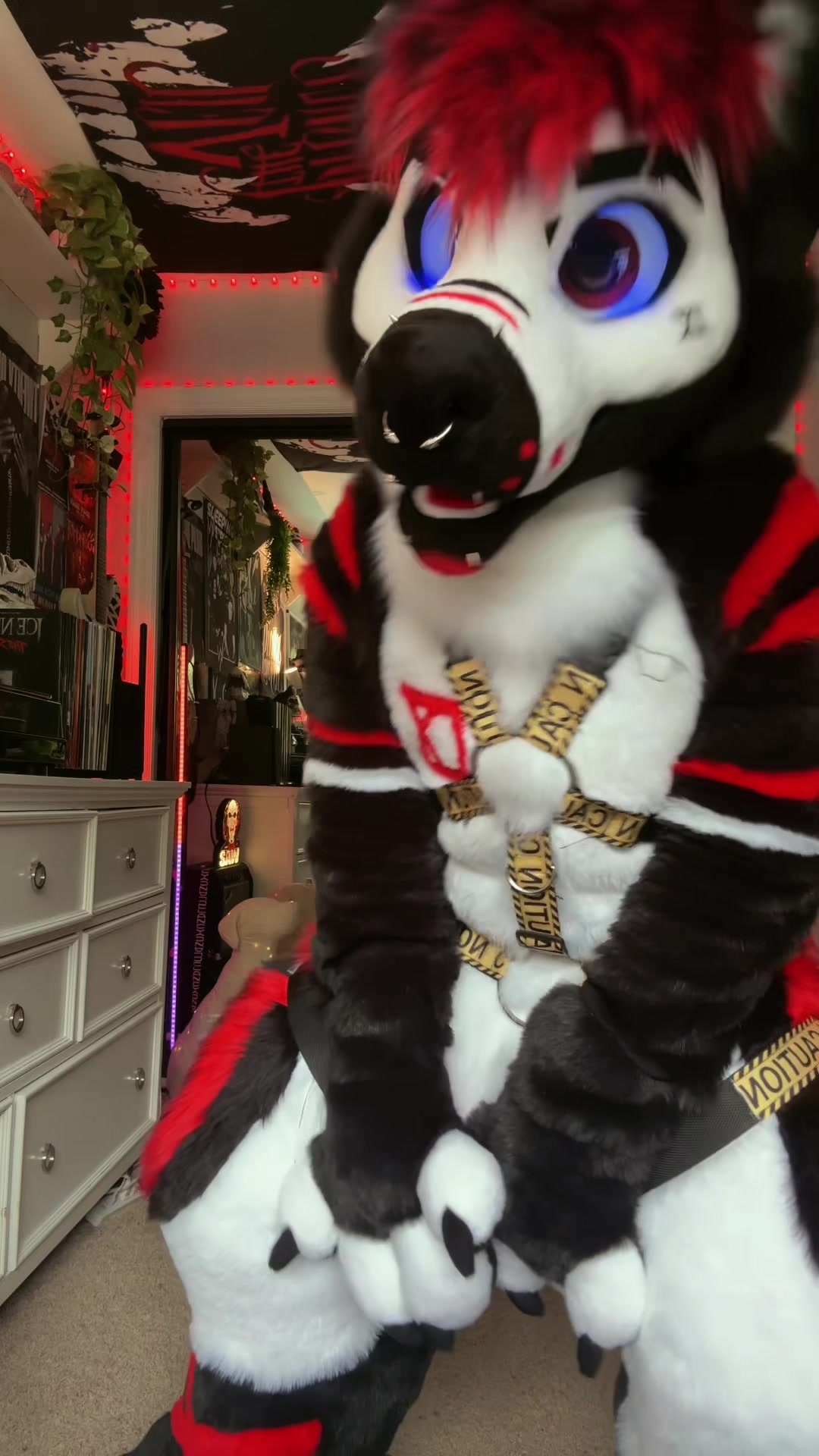 @canines_kill