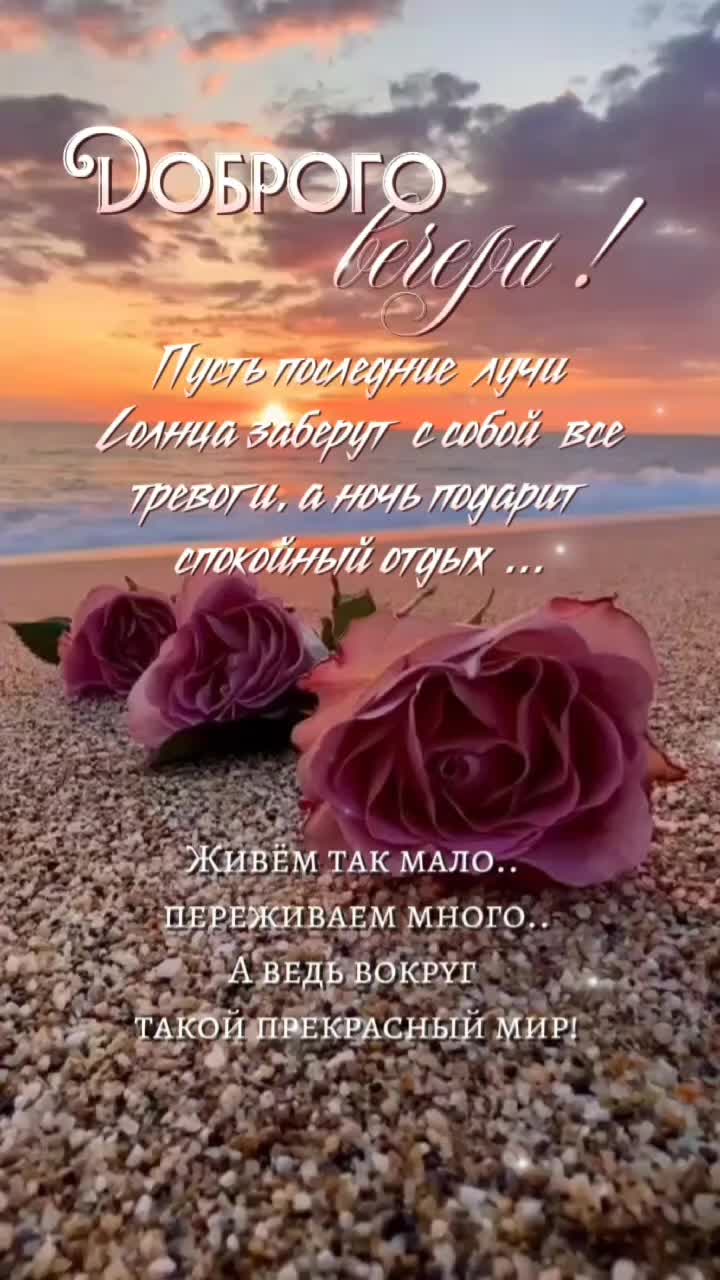 @Elena