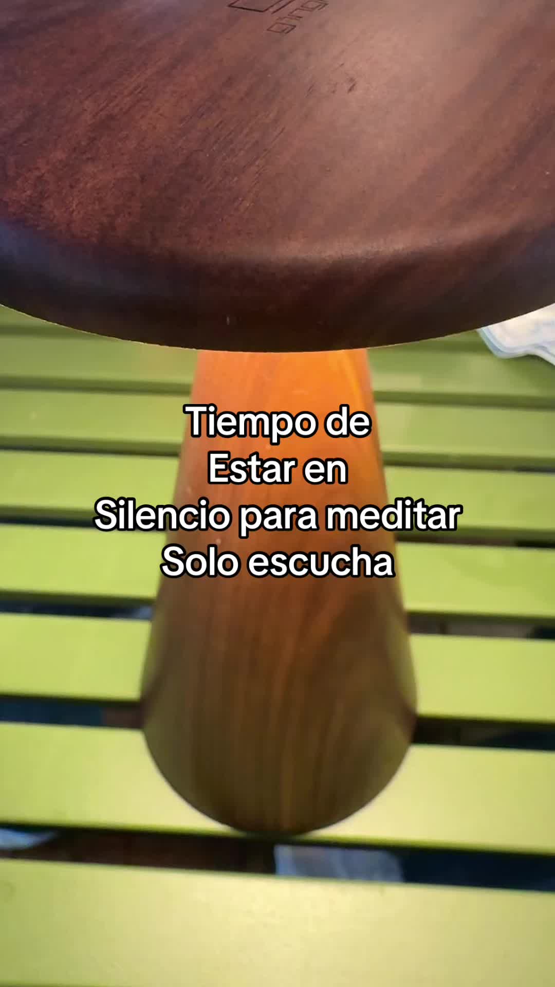 @pablocarbajal63
