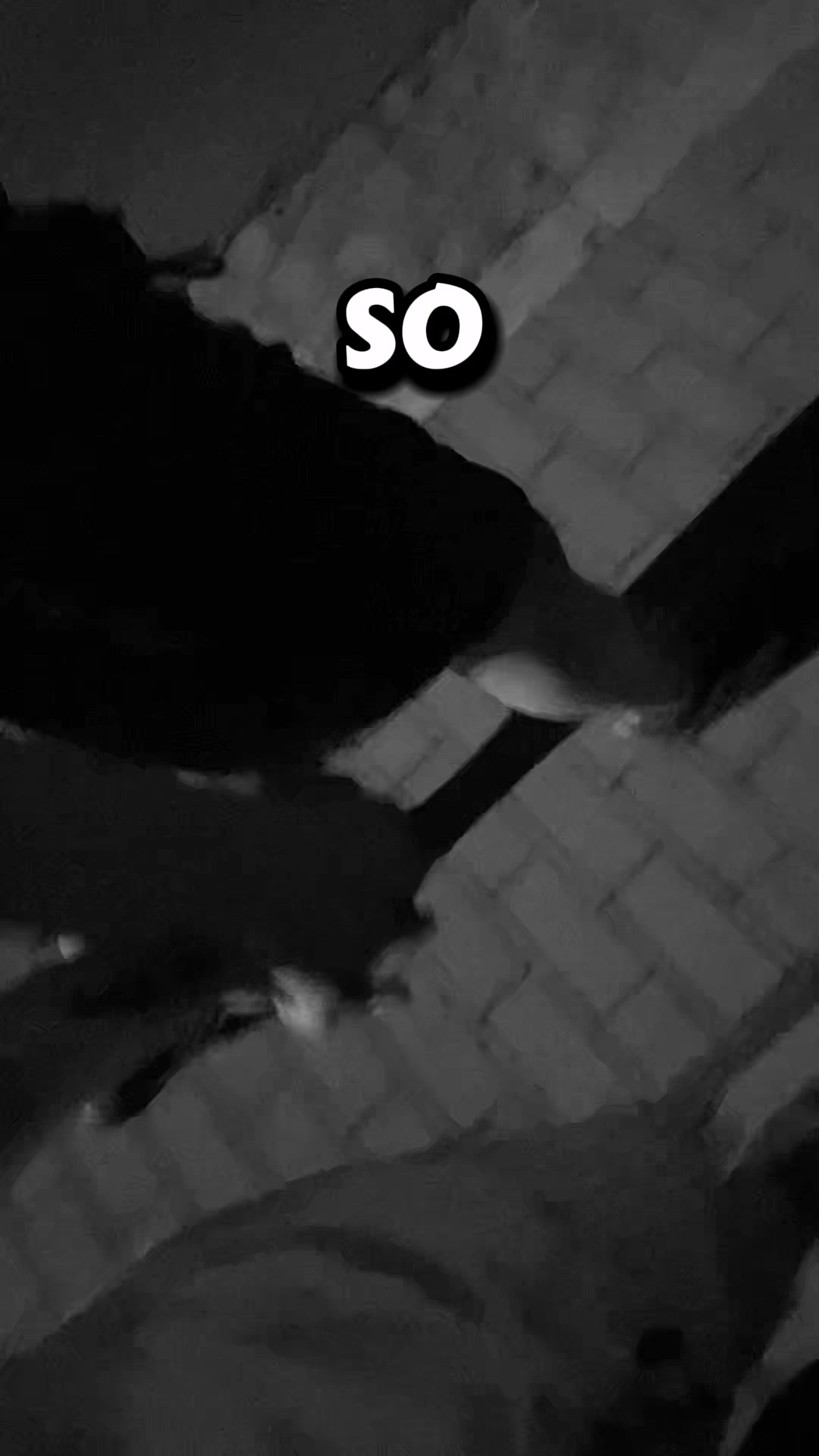 @einfach Vivi🫠