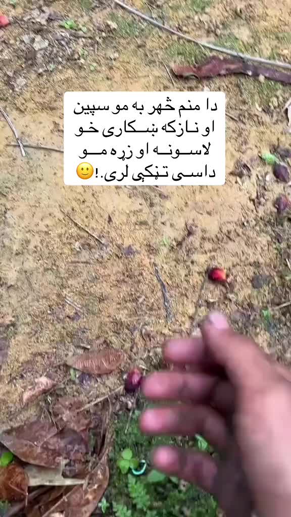 @☾𓂃 بې تعلیم قاضي 𓂃☽