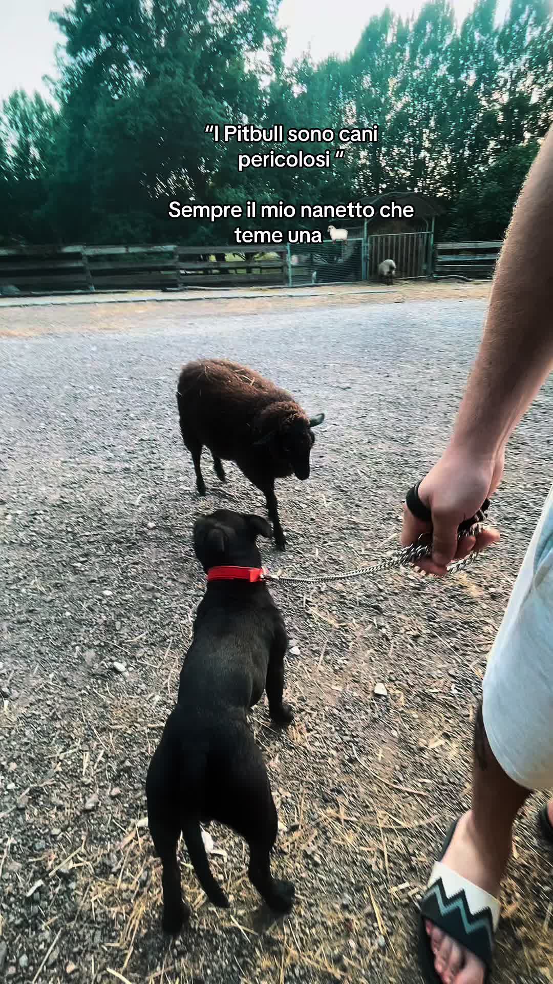@Gretagraace
