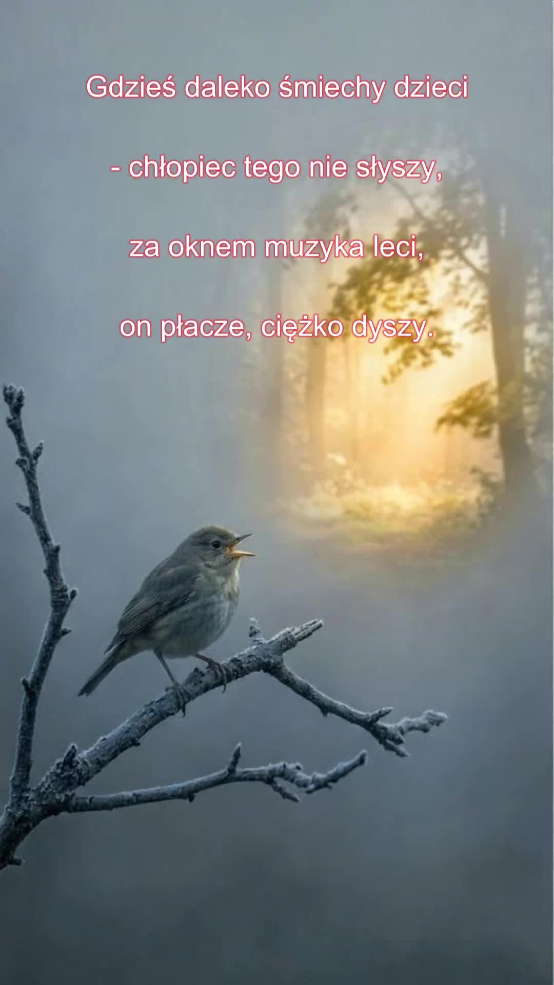 @Poezja Polska
