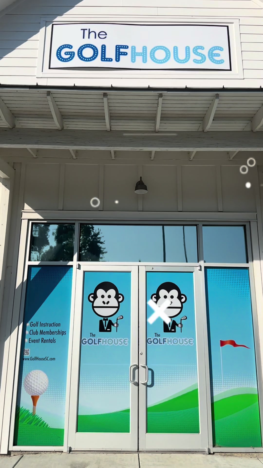@Palmetto Cats