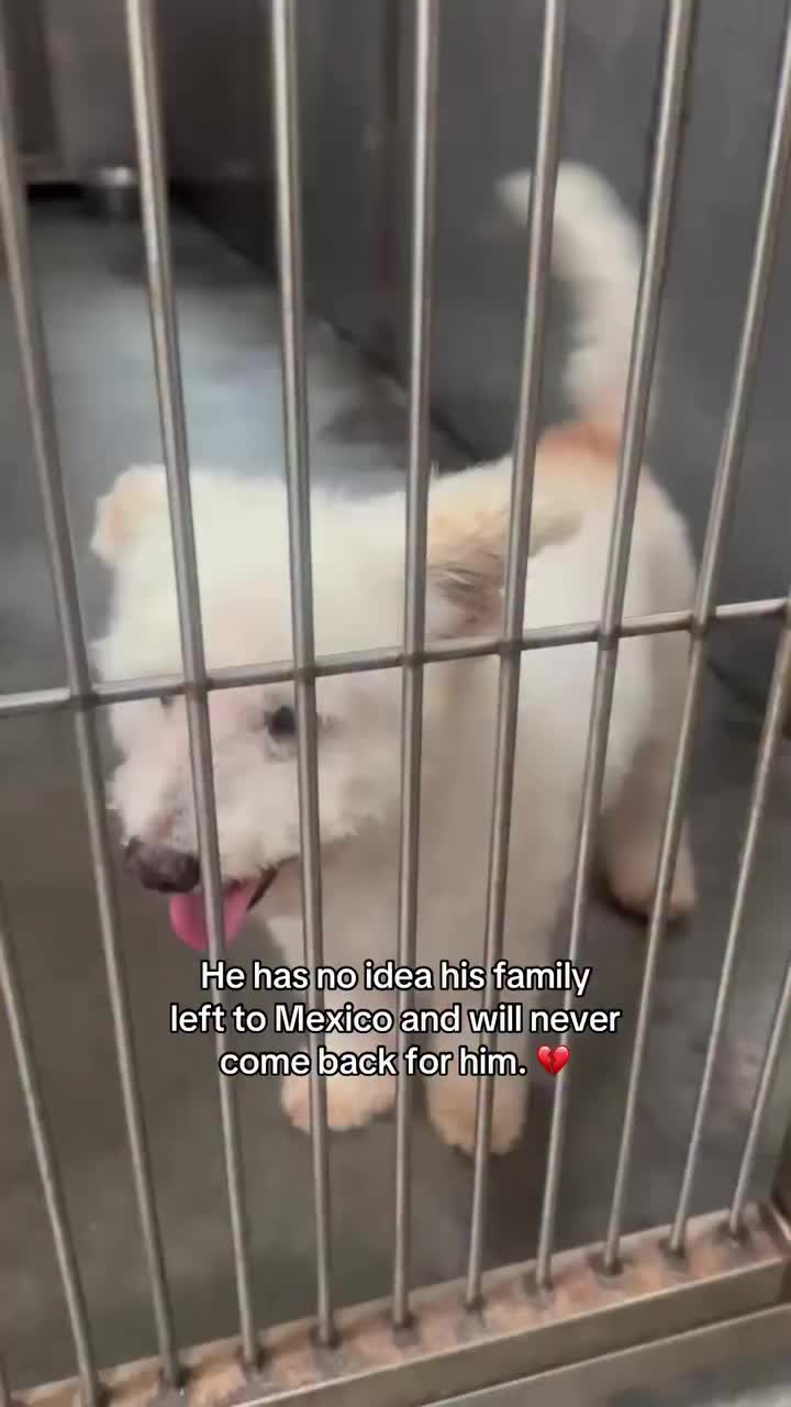 @mistermnn