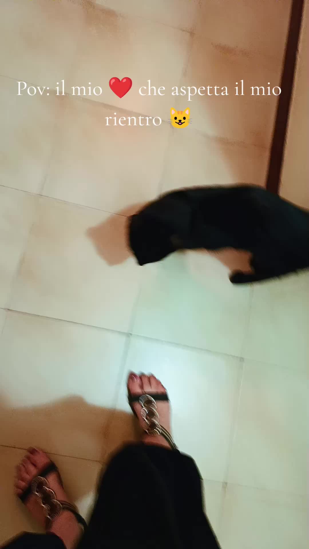 @ciratamburro