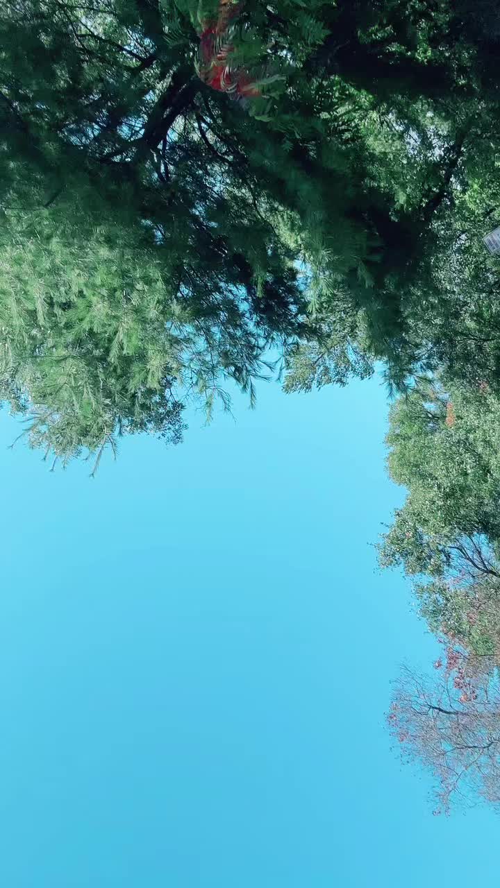 @Family.Maldonado.Ramirez