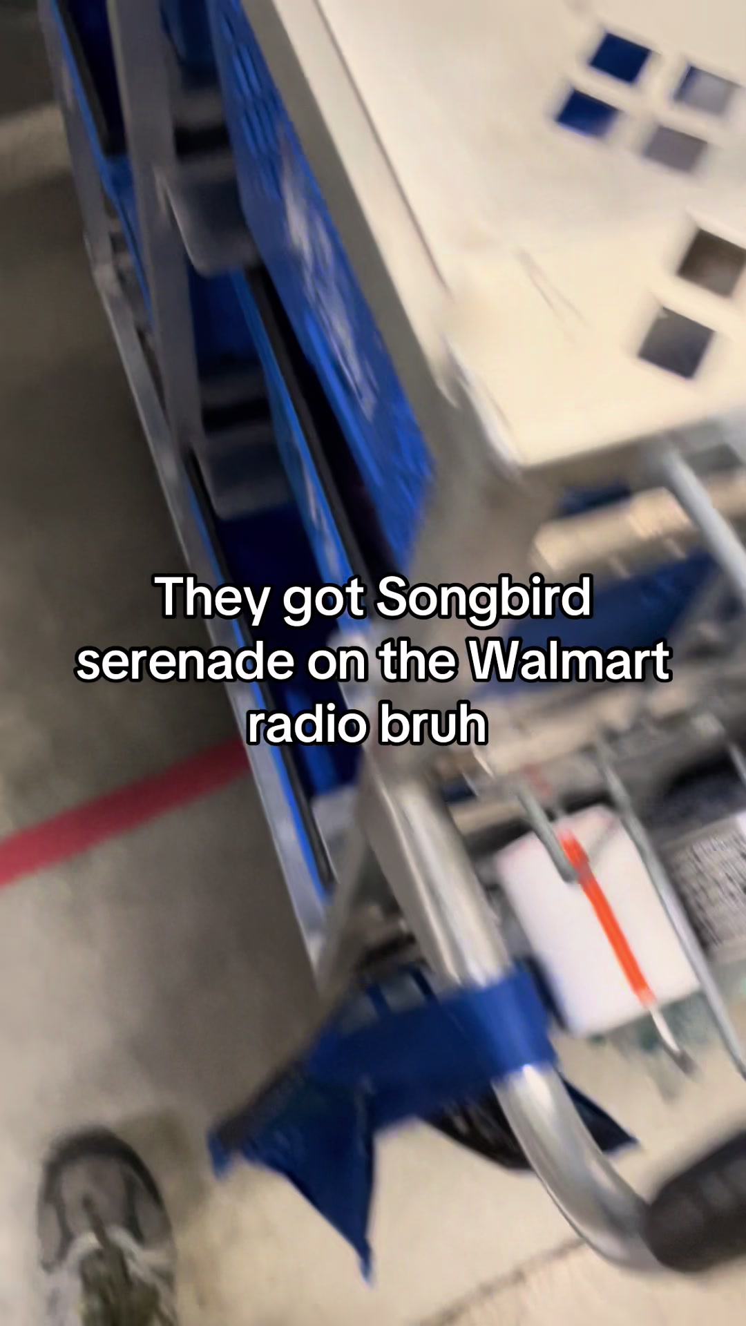@TheRawringDog