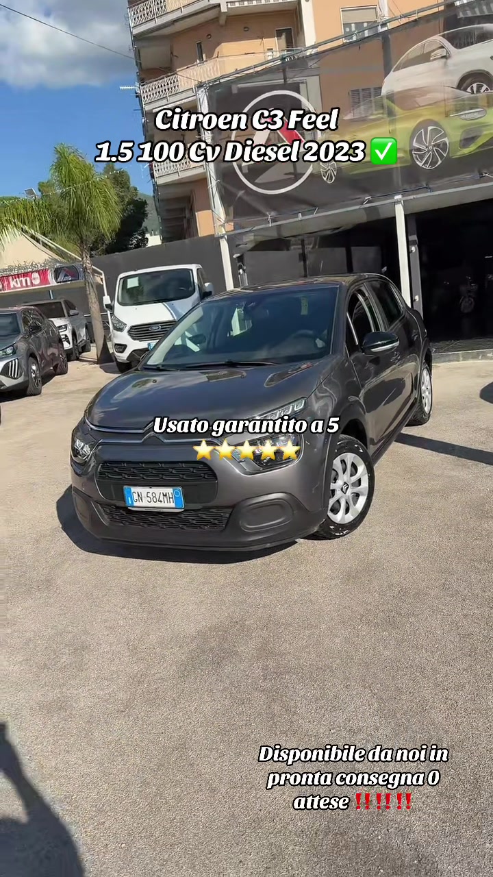 @AUTOIMMAGINE