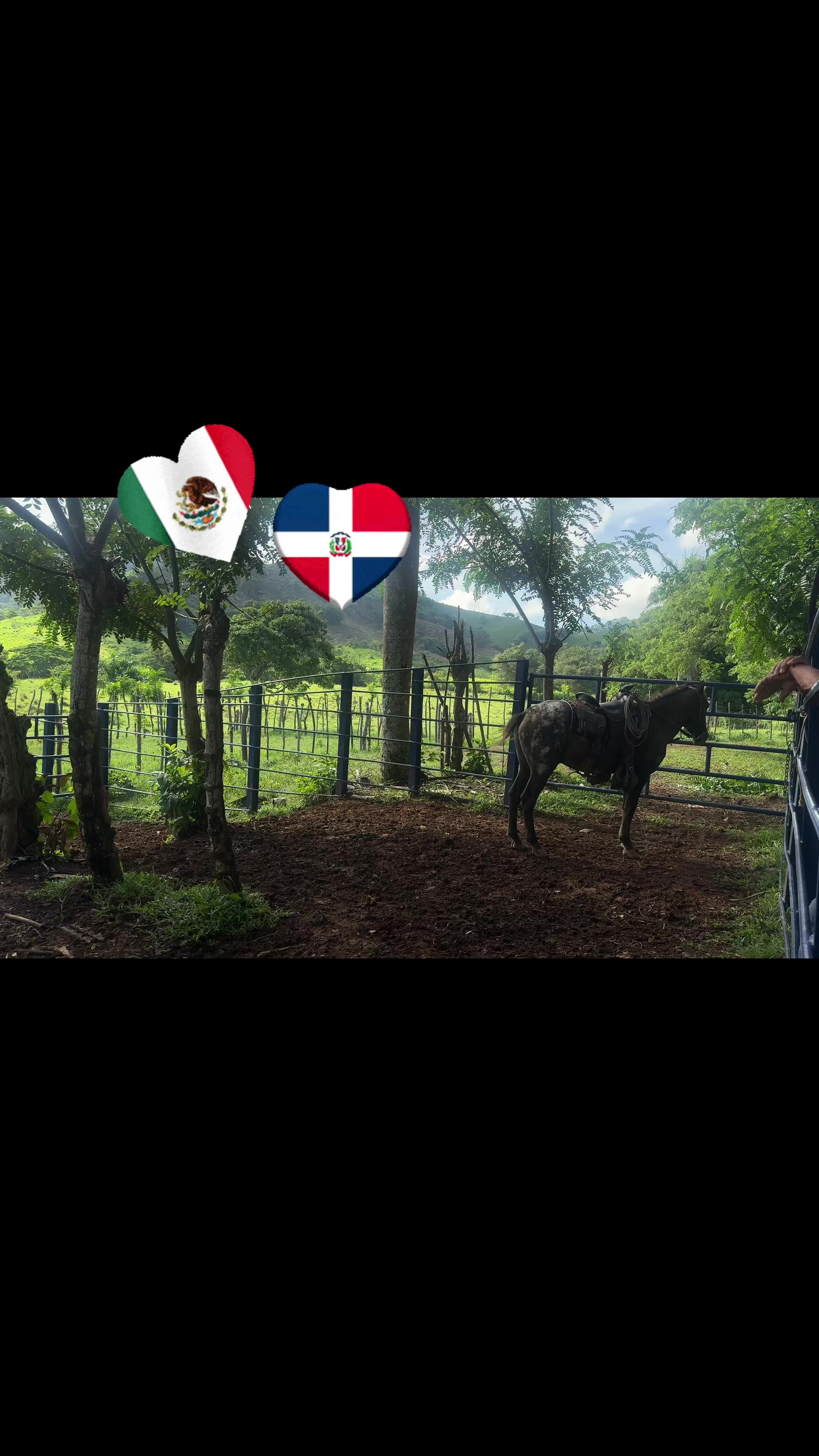 @Lulu LIVE 🇲🇽💍🇩🇴