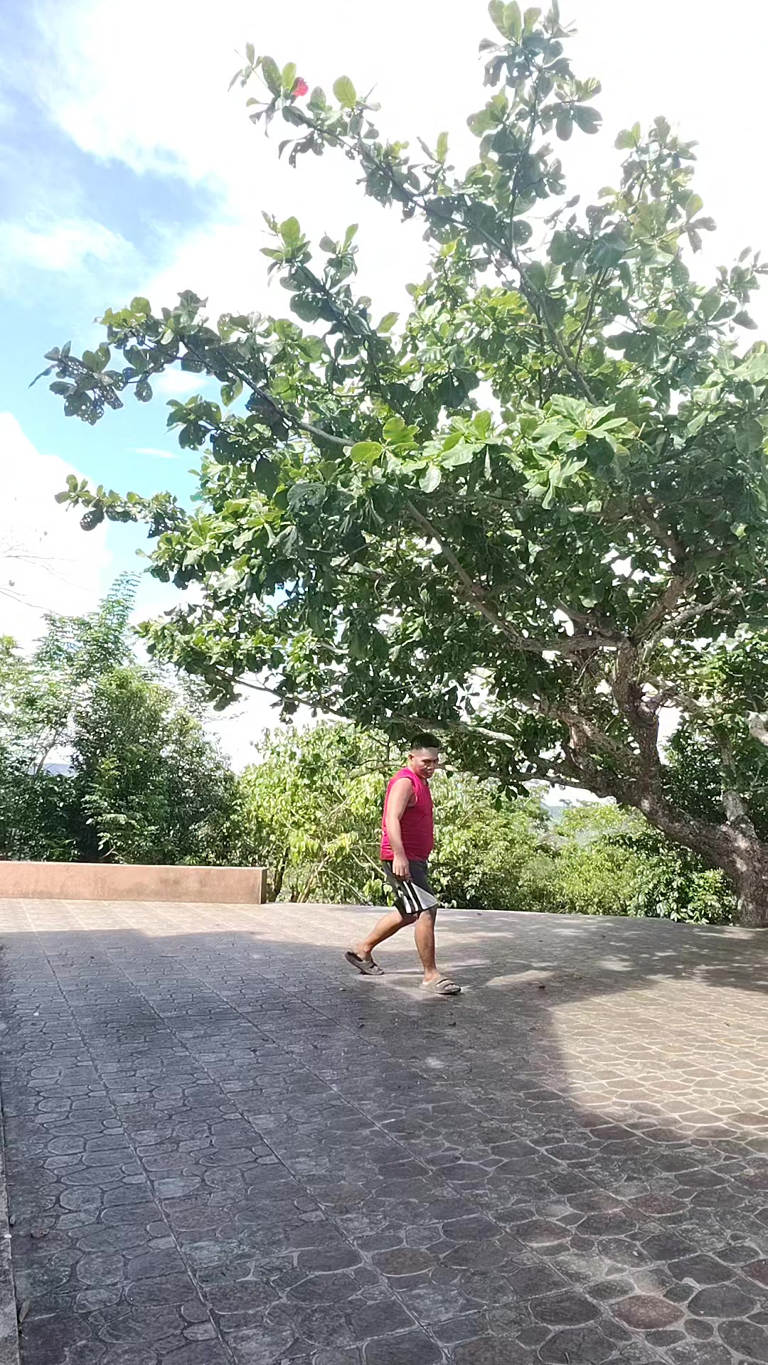 @bobbylopezcama