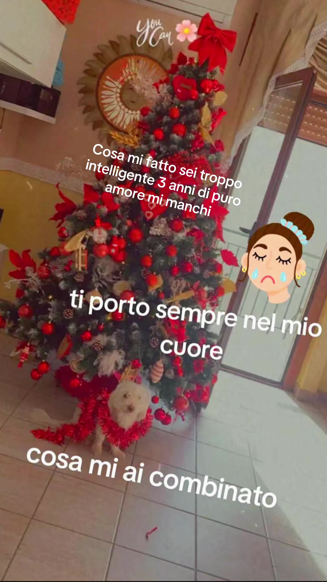 @Amo la mia famiglia 24